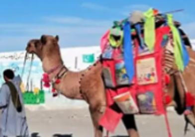 Camel Library Initiative